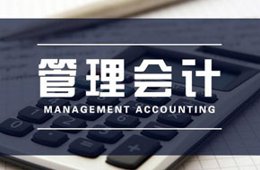 管理会计分析平台